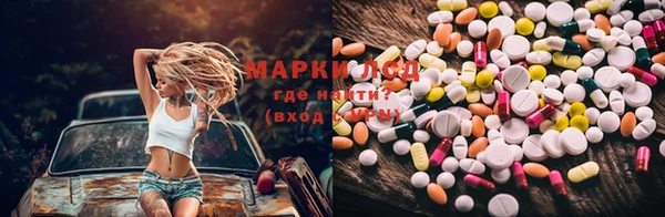 гидропоника Ладушкин