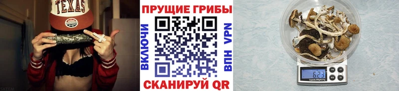 цены наркотик Домодедово KRAKEN маркетплейс Галлюциногенные грибы мицелий