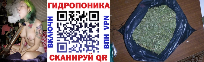 Шишки марихуана семена  omg сайт  Домодедово 